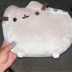 Pusheen the cat